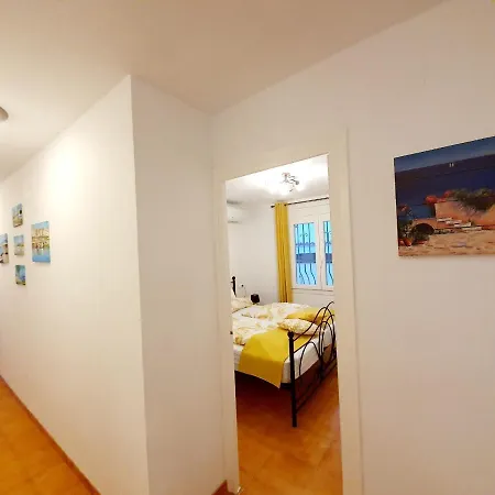New House 