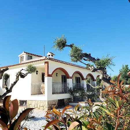 New House 